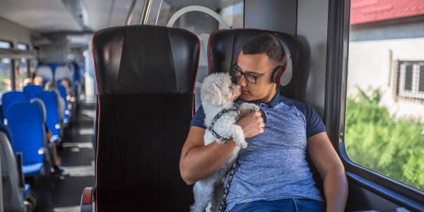 Guide des 10 astuces pour voyager avec son chien  