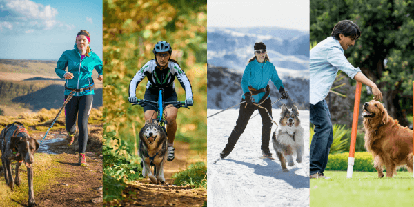 Canicross und andere Sportarten: Welcher Hundesport passt zu mir und meinem Vierbeiner?