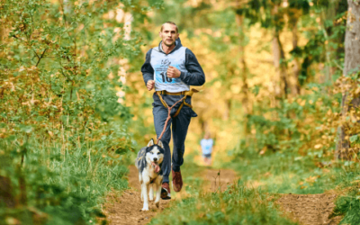 Canicross: correre agganciati al cane