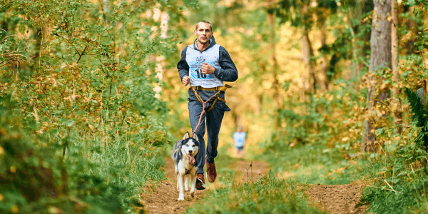 Canicross: Rennen mit dem Hund